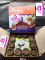 Nishan Singapuri Keshar Chandan Sambrani Dhoop Cups Combo,12 Pcs Box with Holder Plate. 