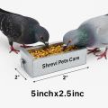 Stainless Steel Small Bird & Poultry Feeder – 5" x 2.5" x 2". 