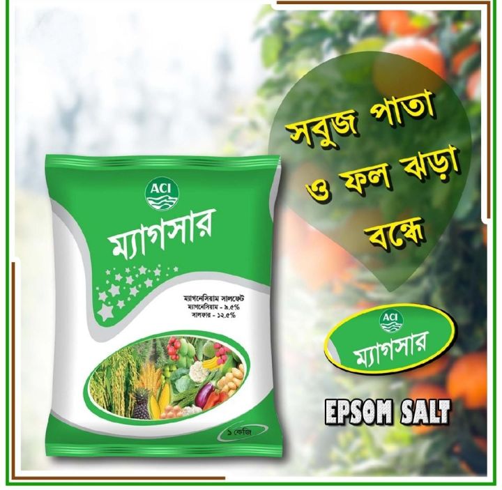 🌿 ACI Magnesium (ম্যাগসার) – 1 Kg | Epsom Salt | ফুল, ফল ও সবজি চাষের ...