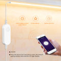 EU Plug DC12V 24V Tuya Smart WiFi APP Neon LED Strip Silica Neon Lamp Tape Backlight Home Decoration work with Alexa  Home. 