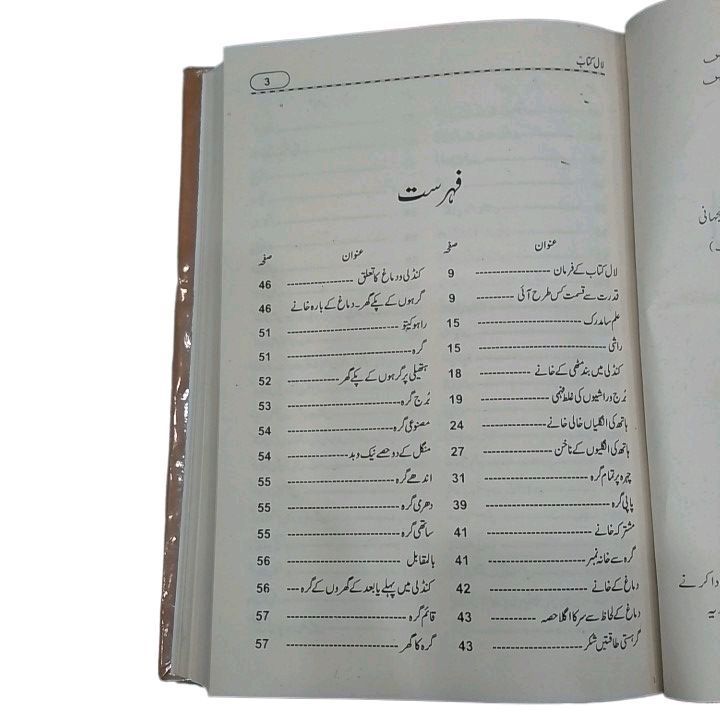 lal%20kitab%20by%20pandit%20Sharma%20girdhari%20Lal%20-%20Image%203