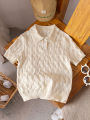 Boys' casual style solid color Fried Dough Twists polo shirt short sleeve thin sweater pullover sweater.