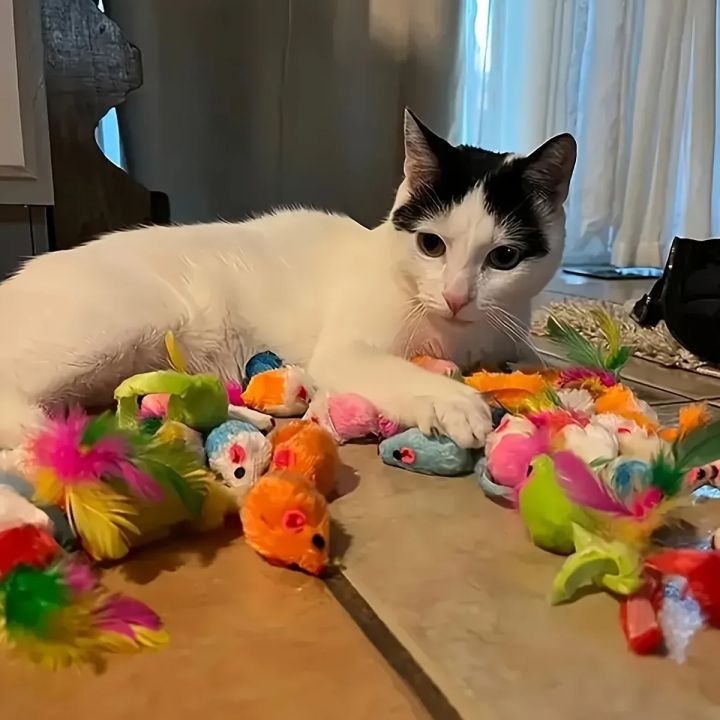56pcs/28pcs/14pcs%20Cat%20Toys%20Mixed%20Pack.%20A%20Combination%20of%20Various%20Plastic%20Toys%20and%20Plush%20Toys%20Suitable%20for%20Multiple%20Cats%20To%20Play%20-%20Image%203