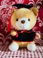 Graduation Teddy Bear 22cm Plush Stuffed Animal Stuffed Animal Bear with Graduation Hat, Diploma and Degree , Graduation Preschool Kindergarten Gift for Friend, Relatives, Kids. 