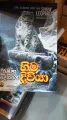 The search for the snow leopard sinhala story book. 