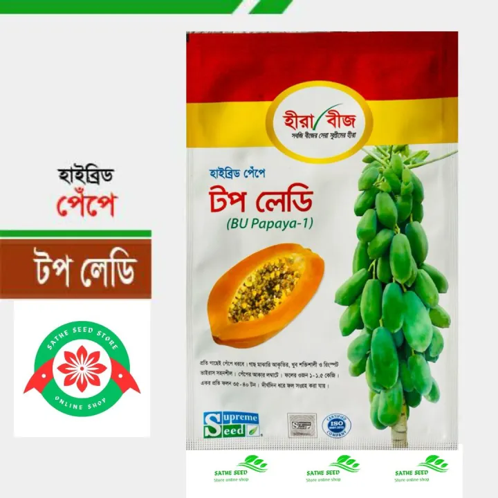 Hybrid Top Lady Papaya seeds – হাইব্রিড টপ লেডি পেঁপে বীজ ১গ্রাম ...