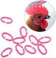 10 pcs Chicken Beak Clasps Anti-Pecking for Chickens Beak Clip of No Hurting. 