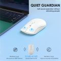 Wireless Mouse Ergonomic Rechargeable 2.4G Bluetooth Optical PC Laptop Cordless Mice for Windows Computer Office. 