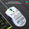 Hot sale HXSJ J900 Gaming Mice RGB Luminous lightweight Macro Programming Hollow Ergonomics Wired mouse for Laptop game Office. 