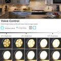 Tuya Wifi Warmwhite Under Cabinet Lighting 12V Dimmable Puck Lights Kitchen Counter Wardrobe Night Lamp Room Decor APP for Alexa. 