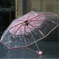 Flower Print Transparent Ladies Folding Umbrella. 