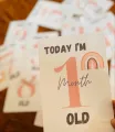 Baby milestone photoshoot cards 1-12months. 