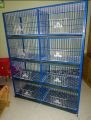 8 Floor Nut System Folding Cage Made by 13no Wire With plastic coded on China Model Pigeon Cage Each Floor Cash On Delivery Available. 