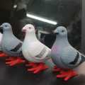 Clockwork Pigeon Simulation animal plush jumping stail children's toys -1pcs.