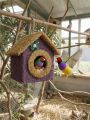 CitiBird Premium Natural Coir Bird Nest House – Eco-Friendly Hanging Hut for Finches, Budgies & Lovebirds (Purple & Golden). 