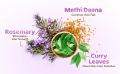 Indian Mamaearth Rosemary Hair Growth Oil | Control Hair Fall & Strengthens Weak Follicles | Scalp Care with Methi Dana for Strong Roots |  (100ml). 