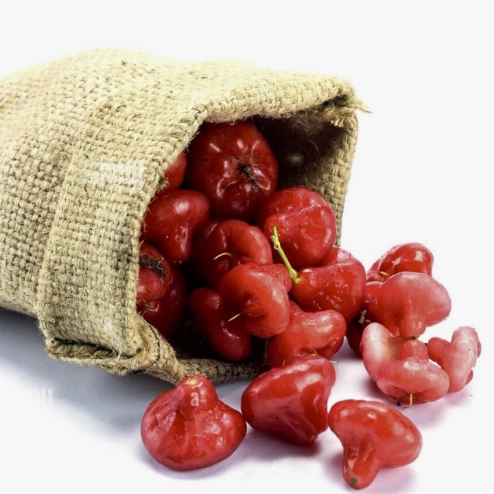 Deshiya%20Rathu%20jambu%20plant%20Sri%20Lankan%20red%20rose%20apple%20plant%20-%20Image%202