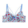 Hello Kitty Daily-wear Push-up Bra. 