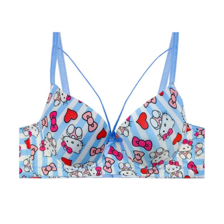 Hello%20Kitty%20Daily-wear%20Push-up%20Bra%20-%20Image%204