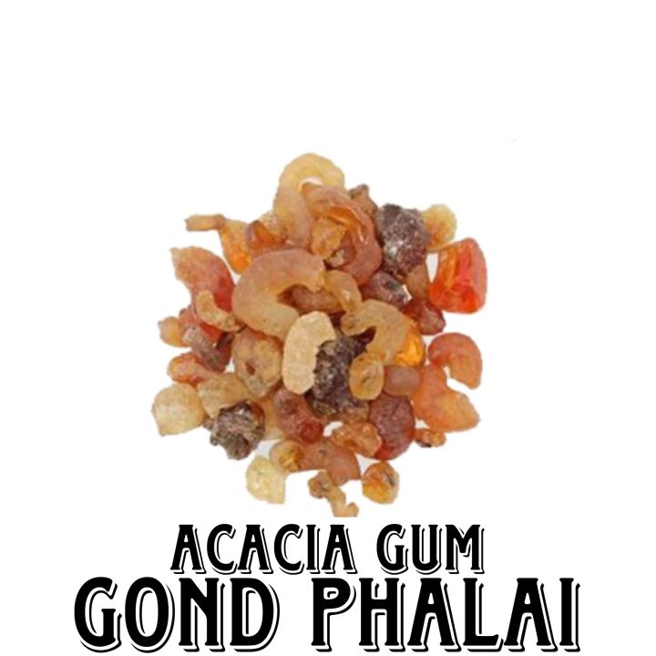 CHEERH PHULAI - GOND PHALAI - ACACIA GUM - 100g