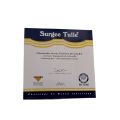 Surgee Tulle Gras Dressing B.p 10 PCs Box. 