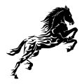 G124 19.5X20CM Car Sticker Handsome Horse Waterproof Vinyl Decal Car Accessories Pegatinas Para Coche DIY Car Styling.