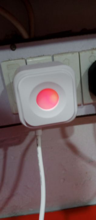 Links 313 Travel charger