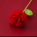 Handmade crochet rose with complementary wrapping/ perfect for gifts/home decor/art lovers. 