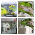 Pets Fish Tank Decor Betta Relax Play Plants Leaf Aquarium Decoration Fish Spawning Ornamental Artificial Leaf Hammock.
