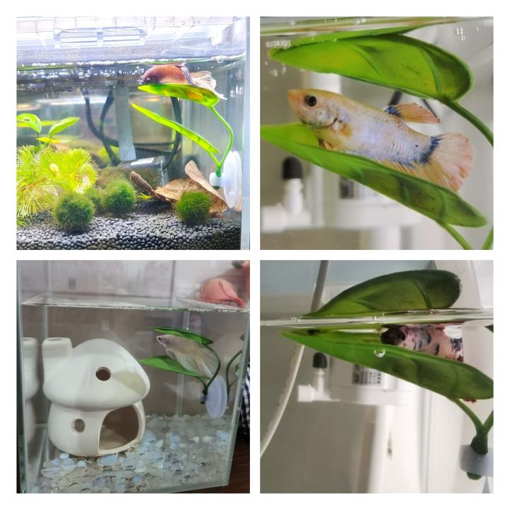 Pets%20Fish%20Tank%20Decor%20Betta%20Relax%20Play%20Plants%20Leaf%20Aquarium%20Decoration%20Fish%20Spawning%20Ornamental%20Artificial%20Leaf%20Hammock%20-%20Image%204