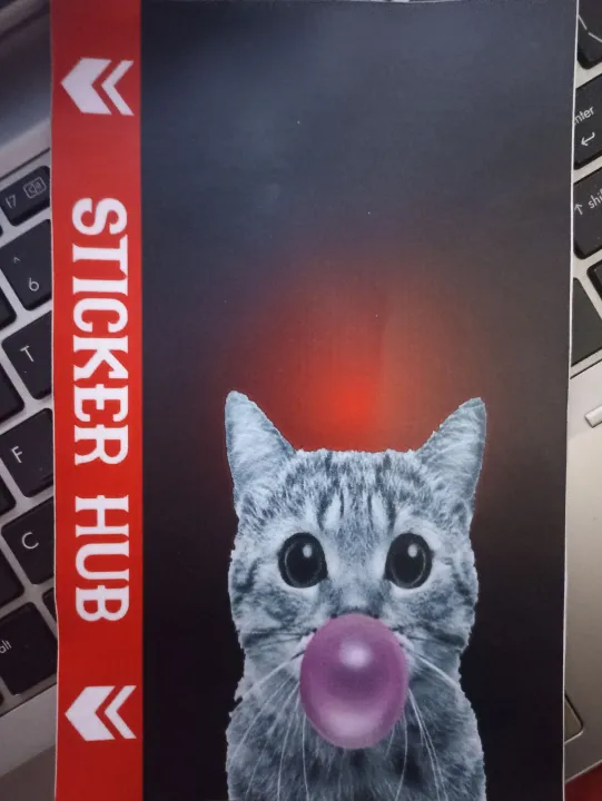 Mobile%20phone%20back%20panel%20sticker%20-%20Image%202