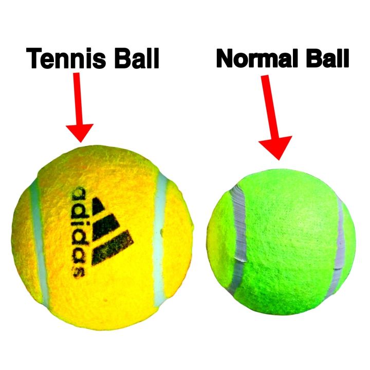 Hanging%20Ball%20with%20or%20without%20Elastic/Rope%20Hangable%20Soft%20Cricket%20Ball%20for%20shot%20practice%20-%20Image%203