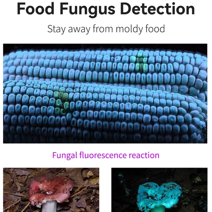 395nm%20UV%20Flashlight%20Ultraviolet%20%20With%20Pen%20Clip%20Portable%20Violet%20Light%20Pet%20Urine%20Scorpion%20Detector%20UV%20Lamp%20Use%20AAA%20Batteries%20-%20Image%207