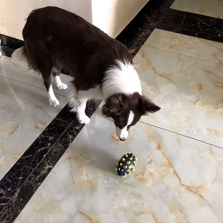 Dog%20%20rugby,%20soft%20spines,%20teeth%20grinding,%20bite%20resistance,%20squeezing,%20vocalization%20accompanying%20large%20and%20medium-sized%20dogs%20-%20Image%204