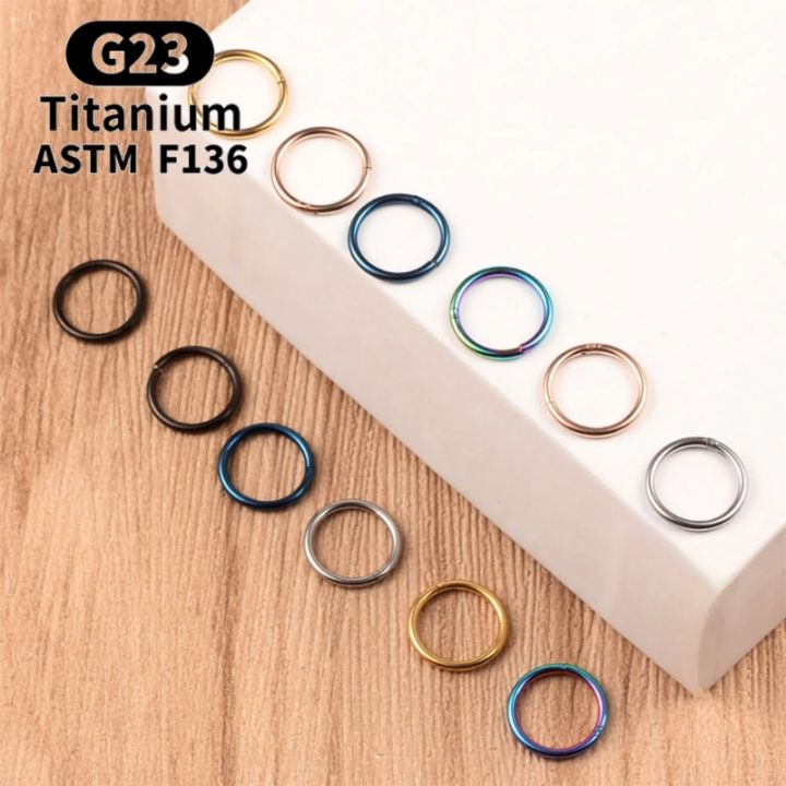 1Pc%20G23%20Titanium%20Hinged%20Nose%20Rings,%20Body%20Clips%20Hoop%20Rings%20For%20Women%20Men%20Cartilage%20Piercing%20Jewelry%20Segment%20Lip%20Ear%20Ring%20Jewelry%20-%20Image%204