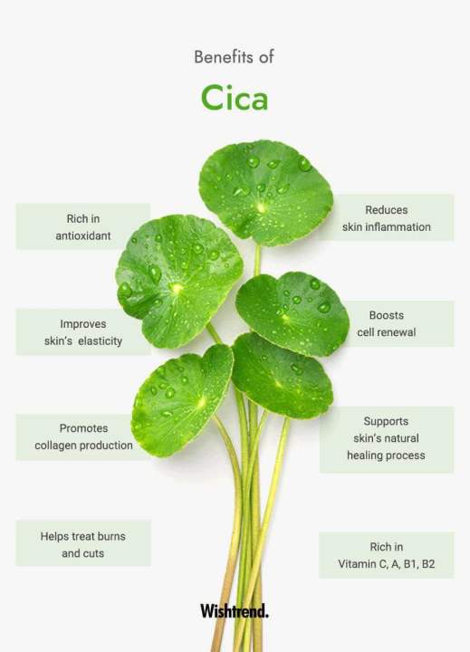 Lebelage%20Cica%20Solution%20Mask%20pack%20-%20Image%206