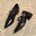 2025 Premium Leather Mary Janes - French Vintage Pointed Toe Pumps Chunky Heel Single Strap Shoes Buckle Decor.