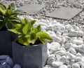 5 Kg. White Big Stones / Pebbles for Garden and Aquarium (5 Kg Pack). 