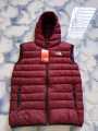 North face vest.