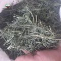 Dried Wheatgrass 100 Gram. 
