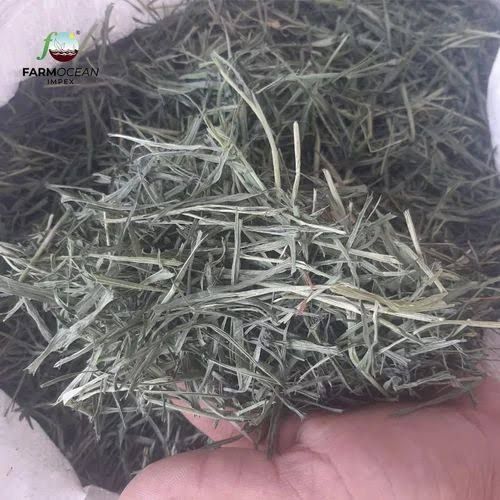 Dried Wheatgrass 100 Gram