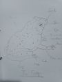 Practical Notebook Biology class 11,12 ( Fully Solved, unchecked ) 2025 Edition. 