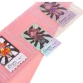 5 pcs/35pt Toploader hard card case photo card protector sleeve transparent Pokemon game card holder. 