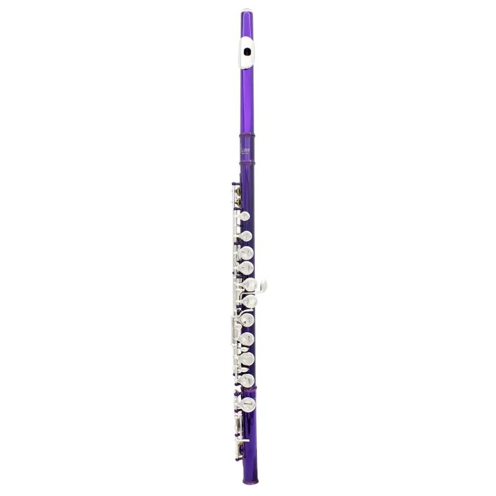 SLADE%2016%20Holes%20C%20Tone%20Flute%20With%20E%20Key%20Purple%20Professional%20Woodwind%20Instrument%20Closed%20Key%20Cupronickel%20Tube%20Flute%20Beginner%20Kit%20-%20Image%202