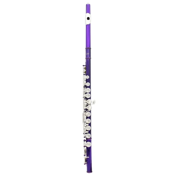 SLADE%2016%20Holes%20C%20Tone%20Flute%20With%20E%20Key%20Purple%20Professional%20Woodwind%20Instrument%20Closed%20Key%20Cupronickel%20Tube%20Flute%20Beginner%20Kit%20-%20Image%202