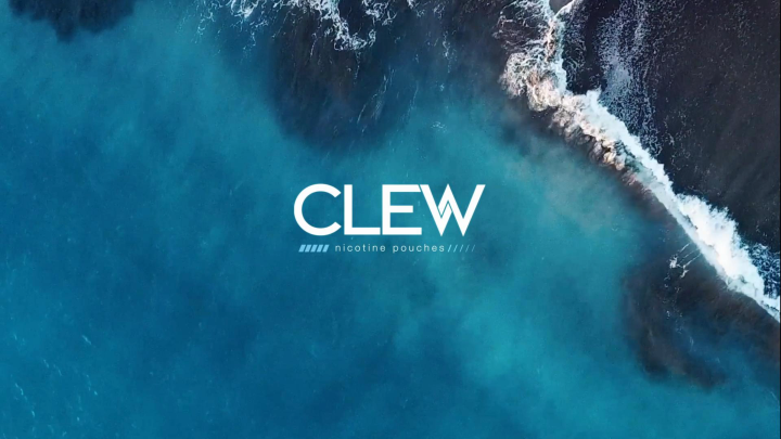 CLEW Nicotine Pouch Blueberry 5 mg