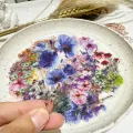50pcs Transparent INS Ink Flower Cartoon Graffiti Stickers DIY Phone Laptop Notebook Suitcase Waterproof Sticker Kids Toy Gifts. 
