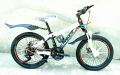 prince bicycle 20 inch. 