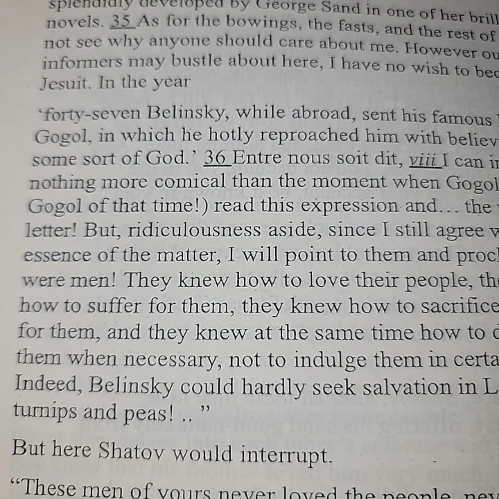 Demons%20By%20Fyodor%20Dostoevsky%20-%20Image%203