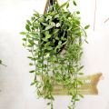 Hanging Orchid Planter Bamboo Woven Orchid Hanging Baskets with Metal Hook Plant Hangers for Indoor Outdoor Small Flower Planter. 